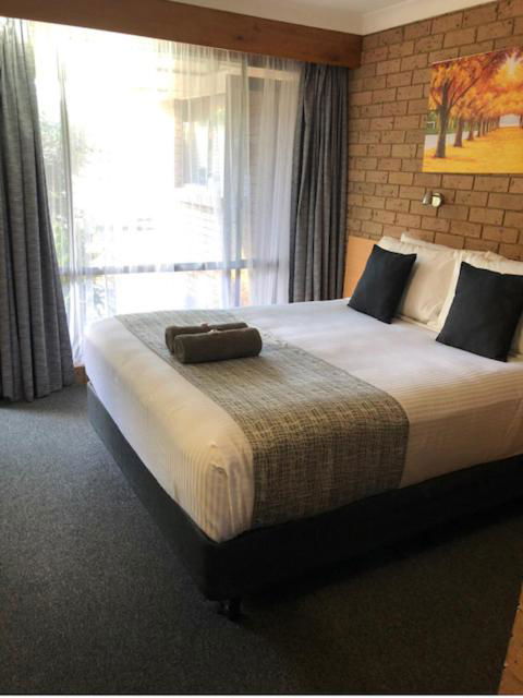 Muswellbrook Motor Inn - Accommodation Bookings 2