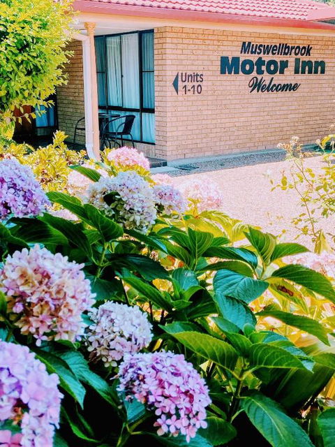 Muswellbrook Motor Inn - Accommodation Bookings 0