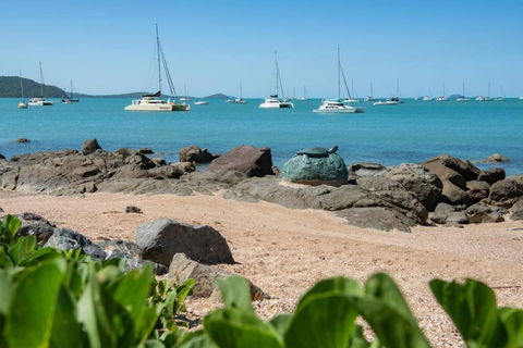 NEW! Gorgeous 2BR Apartment With Stunning Ocean Views! - Accommodation Bookings 1