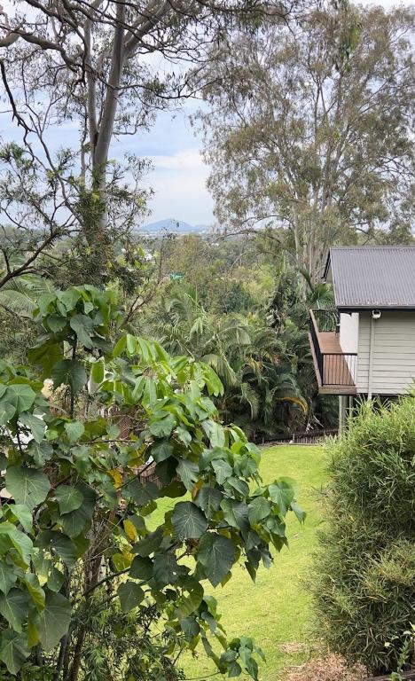 New - Our Treehouse Near Alex Beach - Accommodation Bookings 2