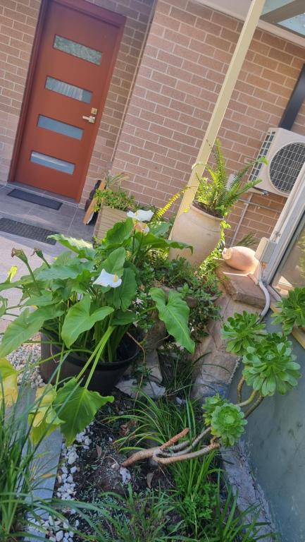 Oasis In The Heart Of Dural - Accommodation Bookings 3