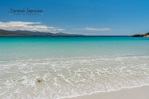 Ocean Dreams - Accommodation Bookings 1