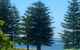 Ocean Vista Beach Stay - thumb 3
