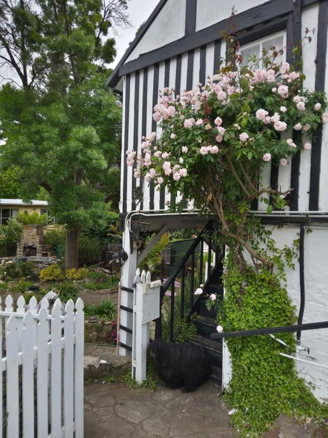 Old Colony Inn - Accommodation Bookings 2
