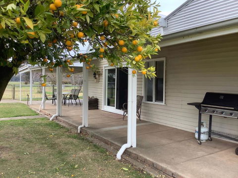 Orange Tree Cottage - Accommodation Bookings 0