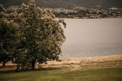 Otago Cottage - Accommodation Bookings 3