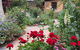 Patricias Garden Studio - thumb 0