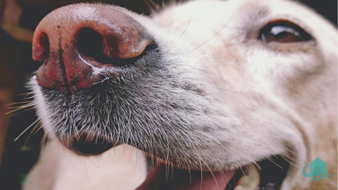 Pelican Lake Retreat - Accommodation Bookings 3