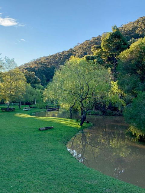 Pennyroyal Otways Retreat - Accommodation Bookings 3