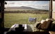Peter The Tiny Cabin In Esperance - thumb 0