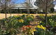 Petschel House - thumb 1