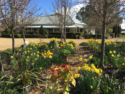 Petschel House - Accommodation Bookings 1