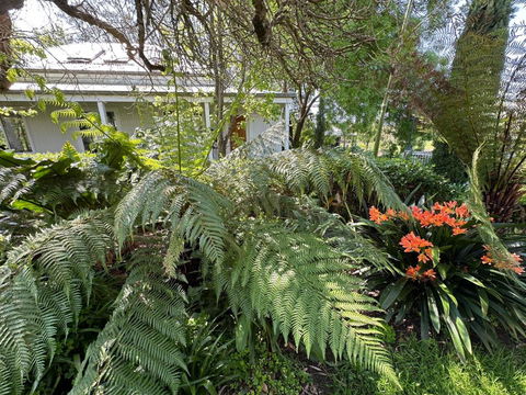 Petschel House - Accommodation Bookings 3