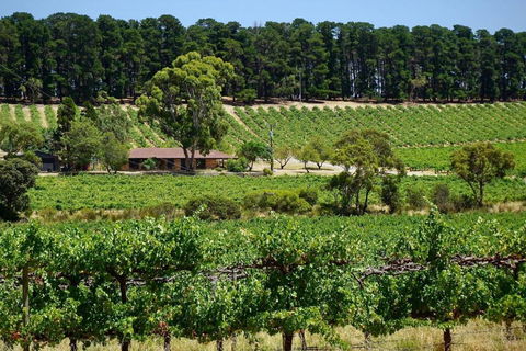 Picturesque Vineyard Farmhouse Nestled On 40-Acres - Accommodation Bookings 0