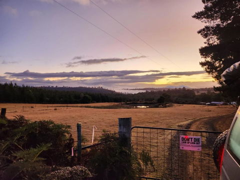 Pine Edge Heights By Tiny Away - Accommodation Bookings 2