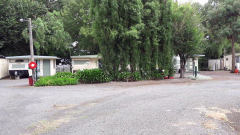 Pinewood Caravan Park - Accommodation Bookings 3