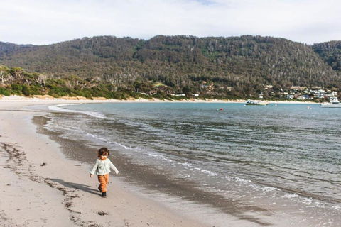 Pirates Retreat By Tiny Away - Accommodation Bookings 3