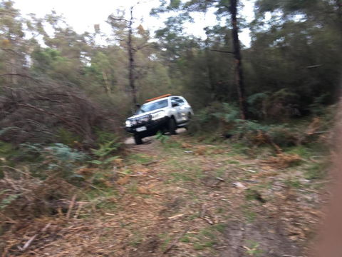 PNL4WDriving Bairnsdale Hub - Accommodation Bookings 0