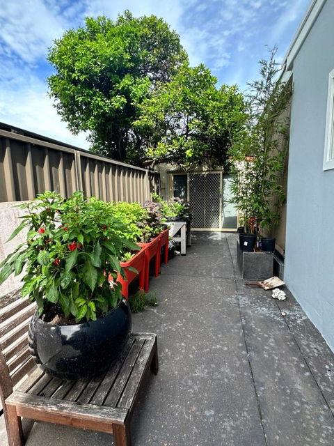 Private, Local Living Studio In Mascot, Airport - Accommodation Bookings 2