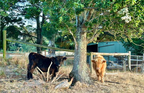 Private, Secluded Farm Retreat - Accommodation Bookings 3