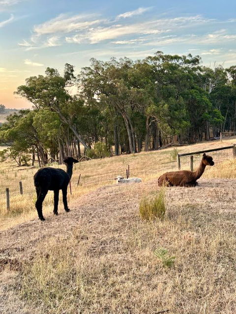Private, Secluded Farm Retreat - Accommodation Bookings 2