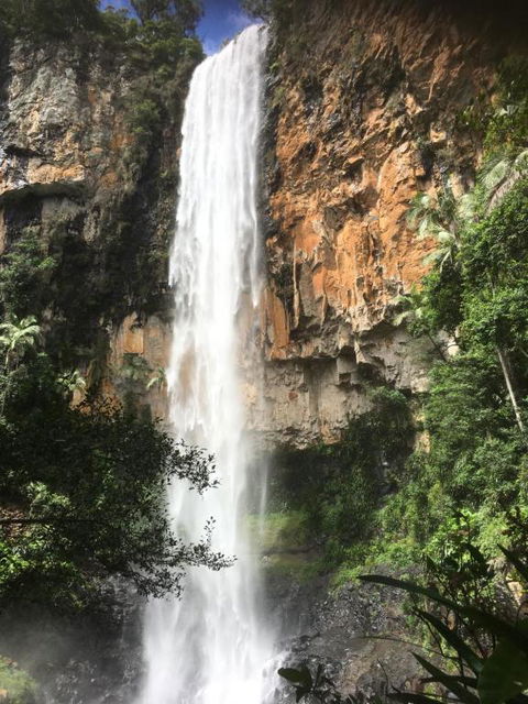 Purling Brook Falls Gwongorella - Accommodation Bookings 1