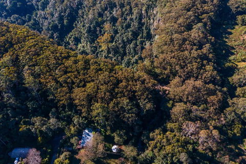 Purling Brook Falls Gwongorella - Accommodation Bookings 2
