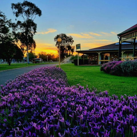 Quality Inn Carriage House - Accommodation Bookings 1