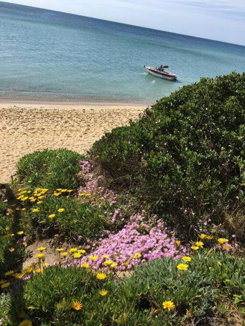 Quiet, Luxurious Guest House - Couples Retreat - Accommodation Bookings 1