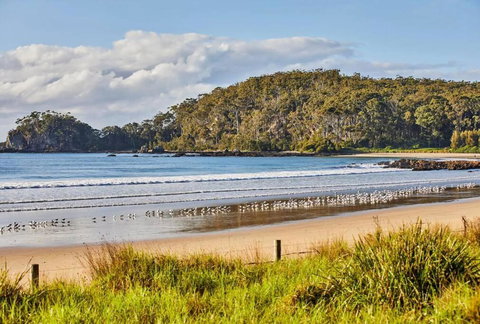 Rare Broulee Beachfront House - Accommodation Bookings 3