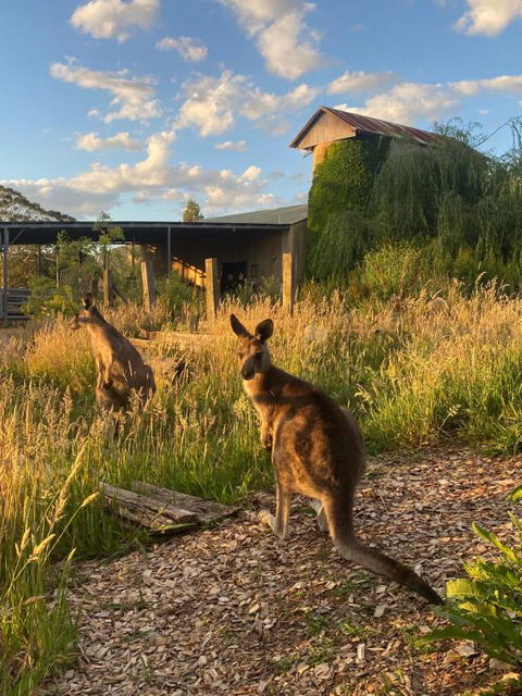 Private Country Escape With Valley Views - Accommodation Bookings 2