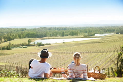 Audrey Wilkinson Vineyard - Accommodation Bookings 0