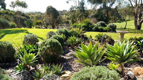 Austiny Bed And Breakfast Victor Harbor - Accommodation Bookings 2