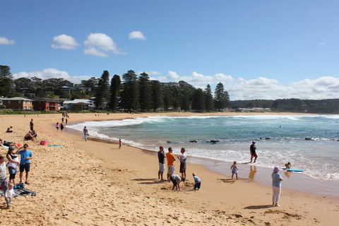 Avoca Beach Cape Cottage - Accommodation Bookings 0