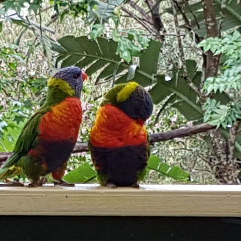 Avoca Beach Cape Cottage - Accommodation Bookings 3