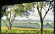Azalea Cedar-Rose Barossa Valley Villa - thumb 1