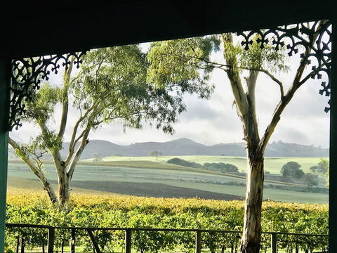 Azalea Cedar-Rose Barossa Valley Villa - Accommodation Bookings 1