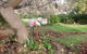 Balingup Jalbrook Cottages - thumb 3