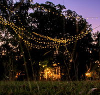 Banyan Tree