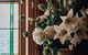 Barossa Dreams - thumb 3