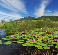 Barrington Hideaway- River Cottages - Accommodation Bookings