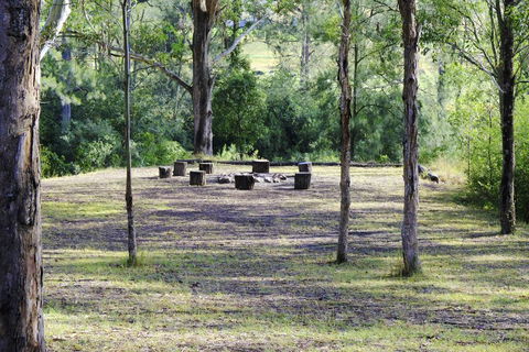 Barrington River Lodge - Accommodation Bookings 1
