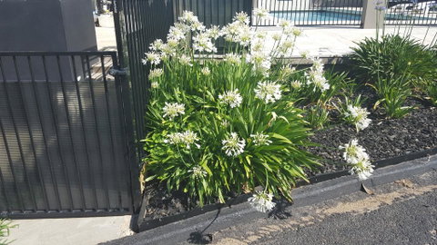 Bathurst Gold Panner - Accommodation Bookings 1
