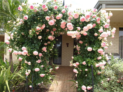 Baudins Of Busselton Bed And Breakfast - Accommodation Bookings 0
