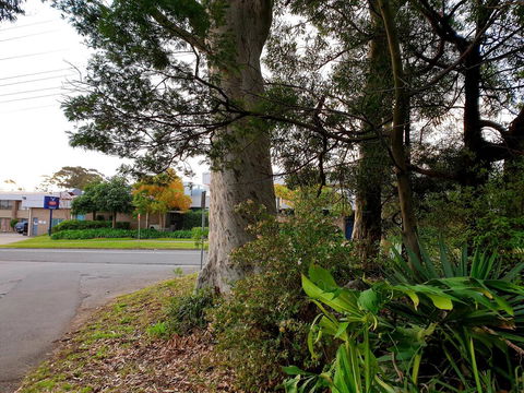Bay & Basin - Accommodation Bookings 2