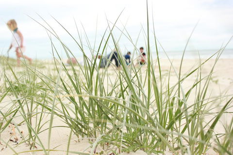 Beachfront At Bribie 2 Puppy Friendly - Accommodation Bookings 3