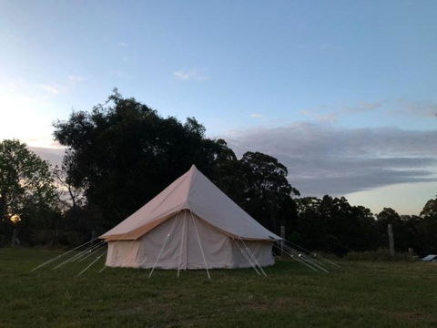 Relaxing Bell Tent In Northern NSW - Accommodation Bookings 1