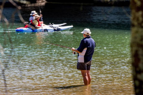Reflections Ferry Reserve - Holiday Park - Accommodation Bookings 0