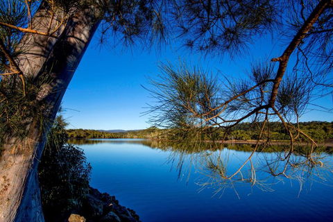 Reflections Ferry Reserve - Holiday Park - Accommodation Bookings 2