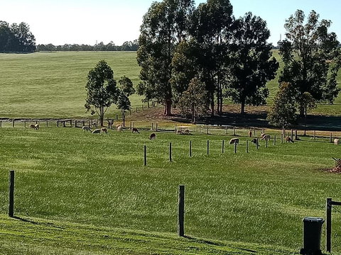 Redtail Ridge Cottages - Accommodation Bookings 1